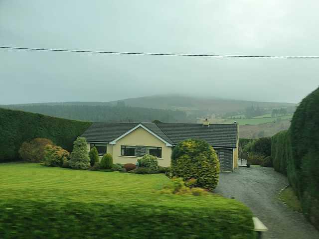 IMG-20211209-WA0010