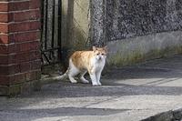  DSC2379