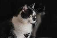  DSC0453