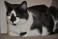  DSC3084