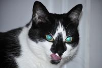  DSC3268