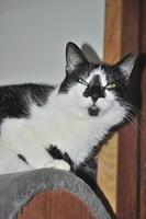  DSC3572