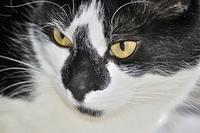  DSC3618