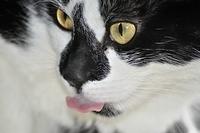  DSC3620