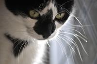  DSC3646