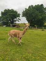 IMG-20220613-WA0005