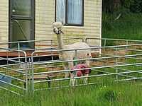 IMG-20220613-WA0013