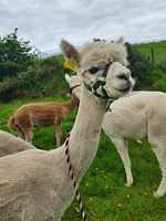 IMG-20220613-WA0014