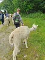 IMG-20220613-WA0016
