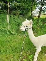 IMG-20220613-WA0018