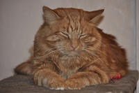  DSC2670