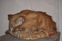 DSC2671