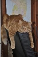  DSC5131
