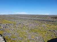 IMG-20230505-WA0002