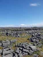 IMG-20230505-WA0007