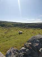 IMG-20230505-WA0008