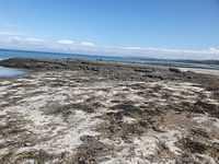 IMG-20230505-WA0009