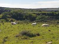 IMG-20230505-WA0015