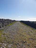 IMG-20230505-WA0016
