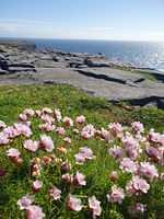 IMG-20230505-WA0019