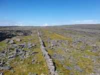 IMG-20230505-WA0029