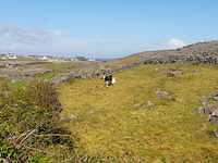 IMG-20230505-WA0034
