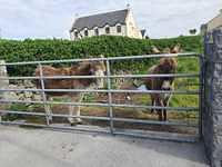 IMG-20230507-WA0011
