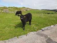 IMG-20230507-WA0012