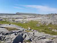 IMG-20230507-WA0013