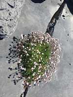 IMG-20230507-WA0015
