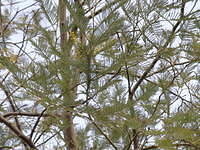 P3281514