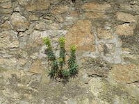 P3281518