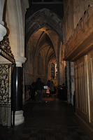  DSC0549
