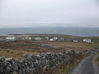DSCF2575