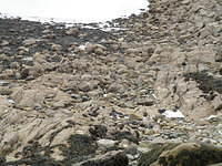 P4030050