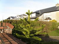 P4040287