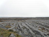 P4040389