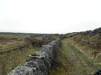 P4040493