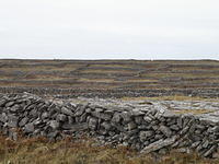 P4040504