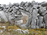 P4040519