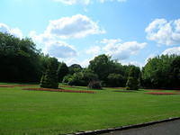 DSCN5112