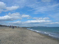 DSCN5115