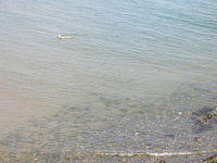 DSCN5121