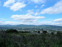 DSCN5125