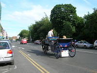 DSCN5180