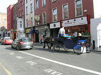 DSCN5184