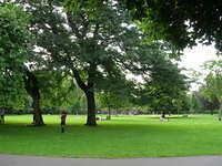 DSCN5227