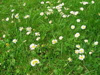 DSCN5248