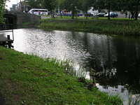 DSCN5269