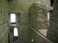 DSCN5295